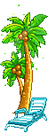 palmeras-033.gif