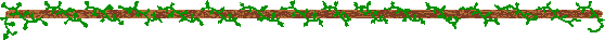 plantas-006.gif