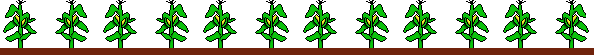 plantas-008.gif