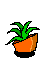 plantas-009.gif