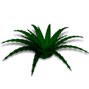 plantas-013.png