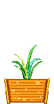 plantas-018.gif