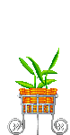 plantas-019.gif