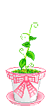 plantas-020.gif