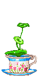 plantas-021.gif