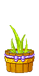 plantas-022.gif