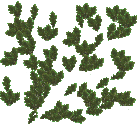 plantas-027.png
