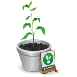 plantas-028.png