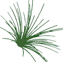 plantas-030.png