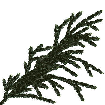 plantas-032.png