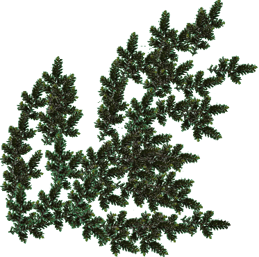 plantas-033.png