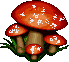setas-004.gif