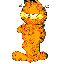 garfield-034.jpg