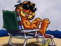 garfield-043.jpg