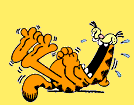 garfield-045.gif