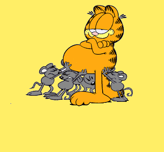 garfield-063.gif