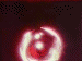 comics-manga-094.gif