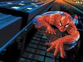 spiderman-005.jpg