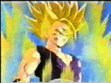 bolas-de-dragon-133.gif