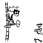 calvin-030.gif