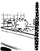 calvin-052.gif