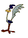 correcaminos-006.gif