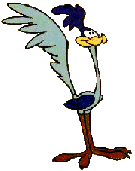 correcaminos-008.gif