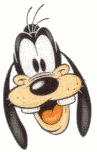 goofy-025.gif