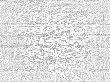 pantera-rosa-010.gif