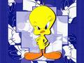 piolin-y-silvestre-019.jpg