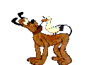 pluto-002.gif