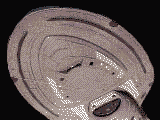startrek-naves-132.gif