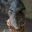 starwars-personajes-067.jpg