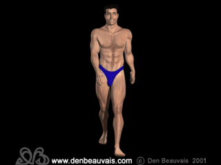 cuerpos-humanos-020.gif