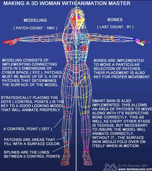 cuerpos-humanos-042.jpg