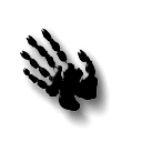 manos-dedos-102.gif