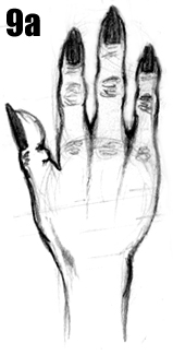 manos-dedos-114.jpg