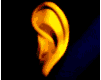 cosas-miscelanea-005.gif