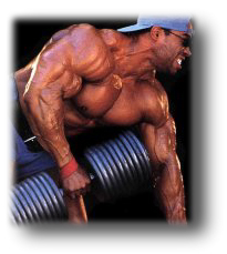 musculos-001.jpg