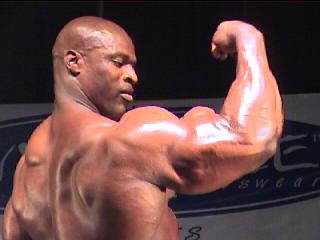 musculos-002.jpg