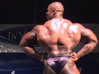 musculos-003.jpg