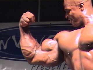 musculos-004.jpg