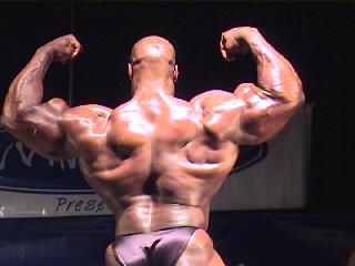 musculos-005.jpg