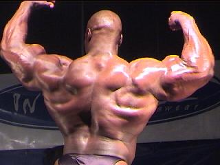 musculos-007.jpg