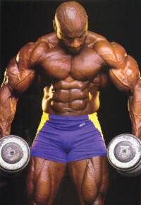 musculos-009.jpg