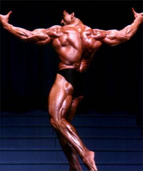 musculos-010.jpg