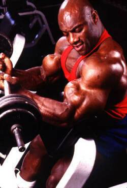 musculos-012.jpg