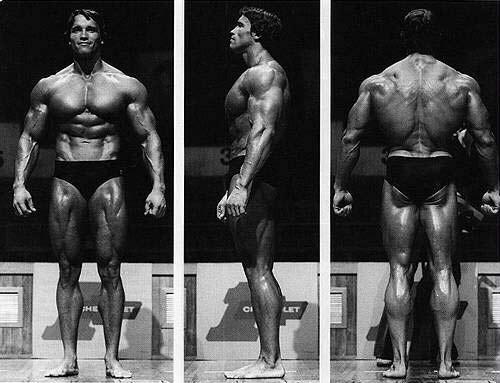 musculos-013.jpg