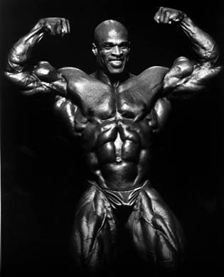 musculos-014.jpg