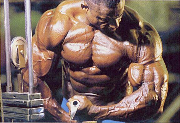 musculos-015.jpg